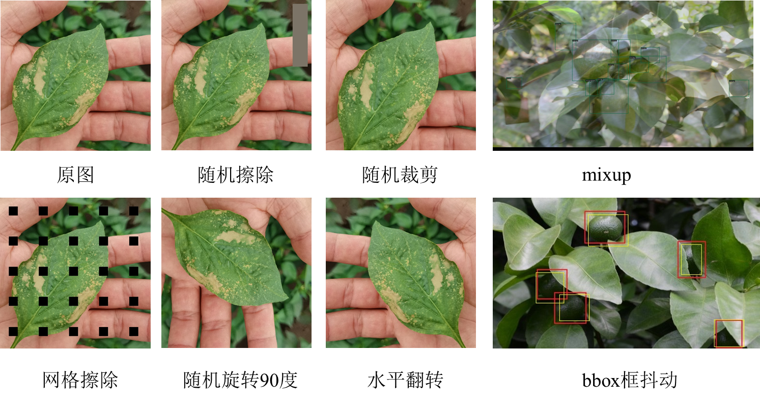 2022 科大讯飞农业赛道识别挑战赛